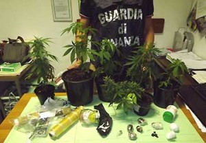 gdf_chiavari_seq_marijuana