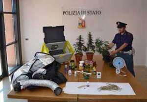 polizia-senigallla-marijuana