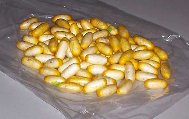 Macerata, la polizia ferma ghanese ovulatore con 540 grammi di eroina