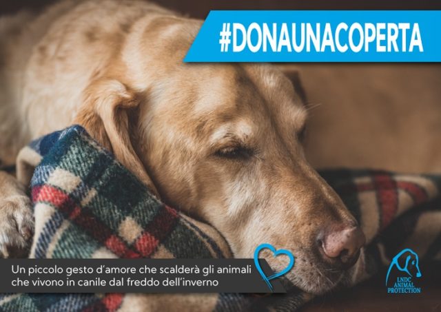#donaunacoperta